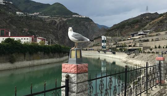 Artvin Isı Pompası